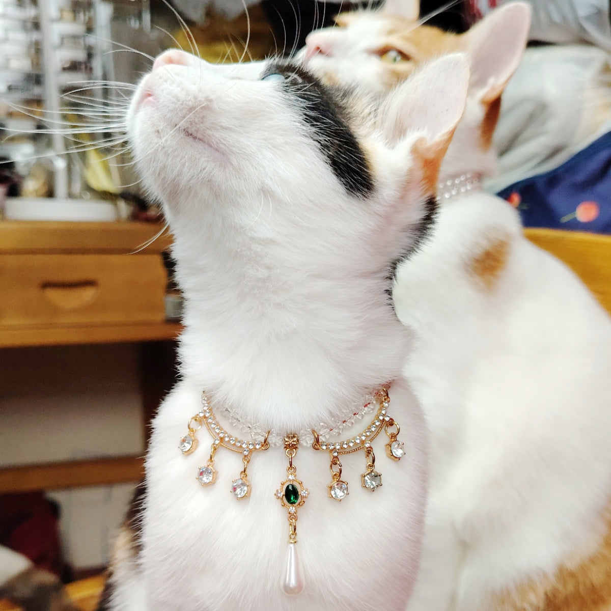 Royal Crystal and Pearl Drop Pet Collar - Blingyfur 