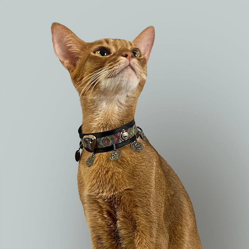 Midnight Velvet Pet Collar - Blingyfur 