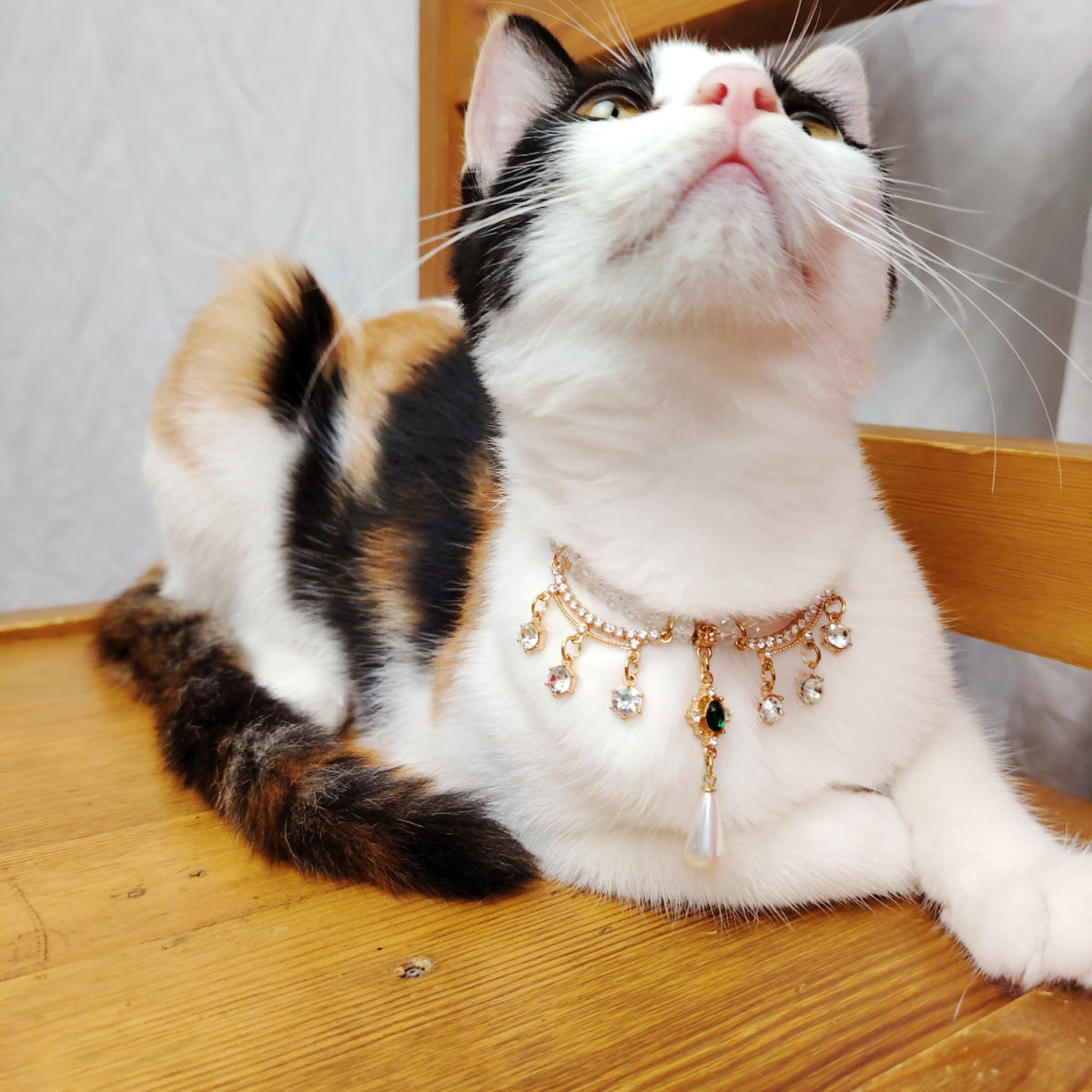 Royal Crystal and Pearl Drop Pet Collar - Blingyfur 