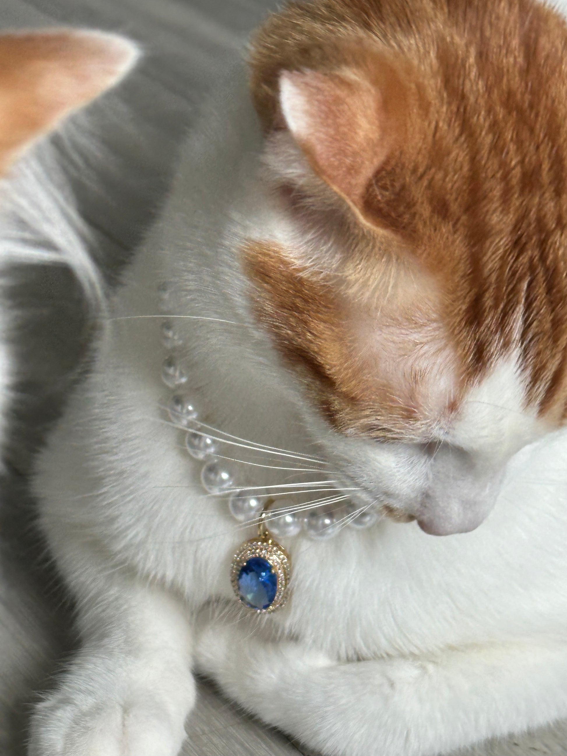 Gemstone Pearl Pet Collar - Blingyfur 