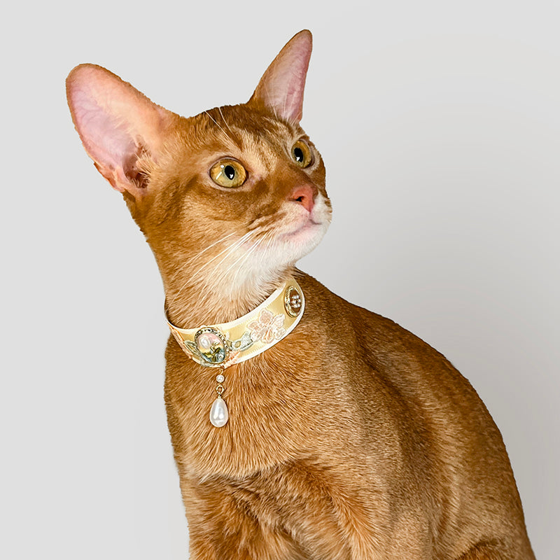 Golden Dawn Lace Cat Collar - Blingyfur 