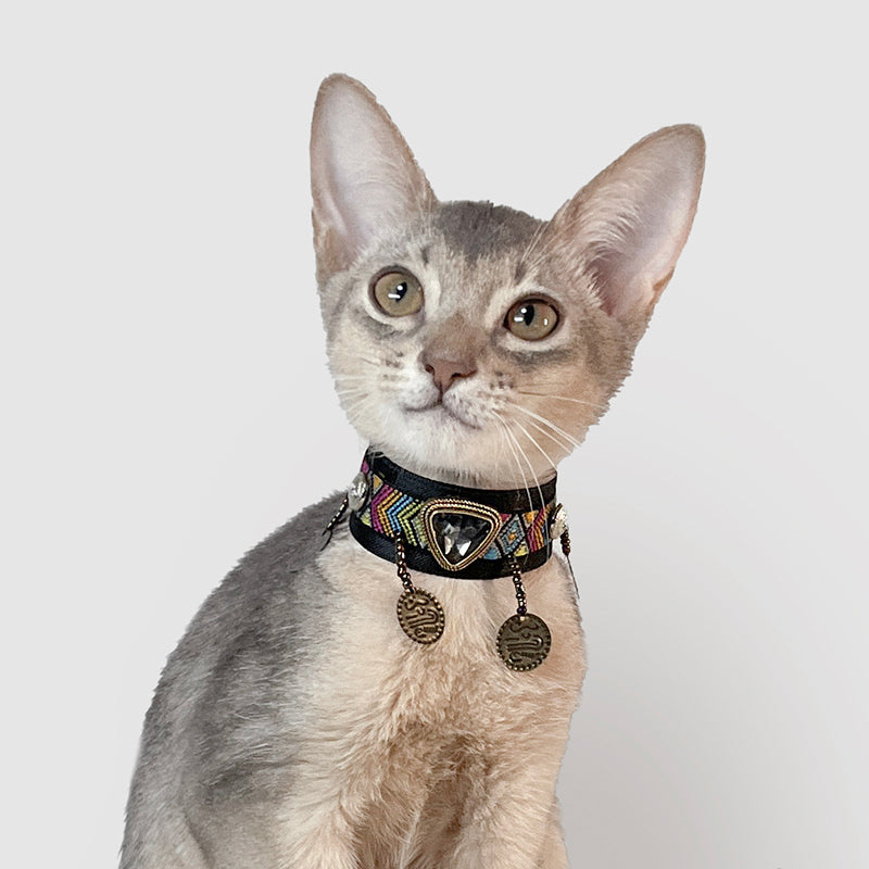 Midnight Velvet Pet Collar - Blingyfur 